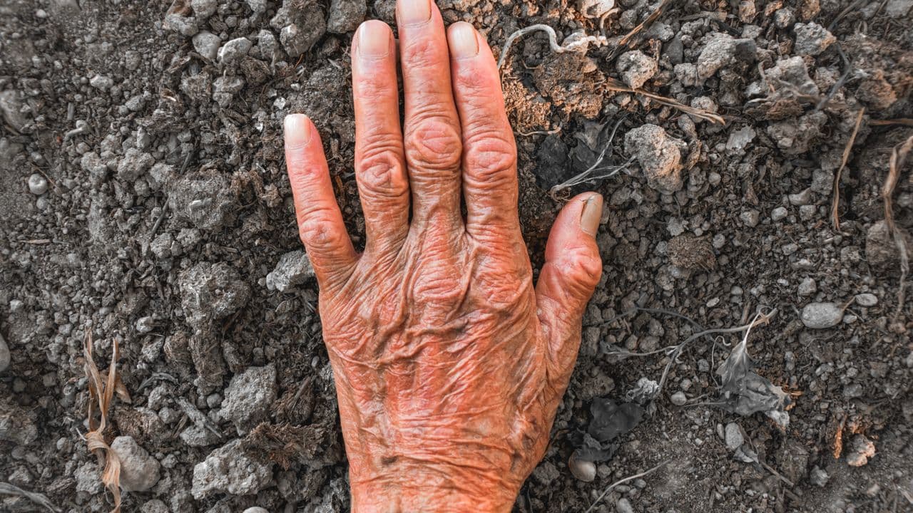Aide sociale à l'hébergement : la récupération sur succession expliquée