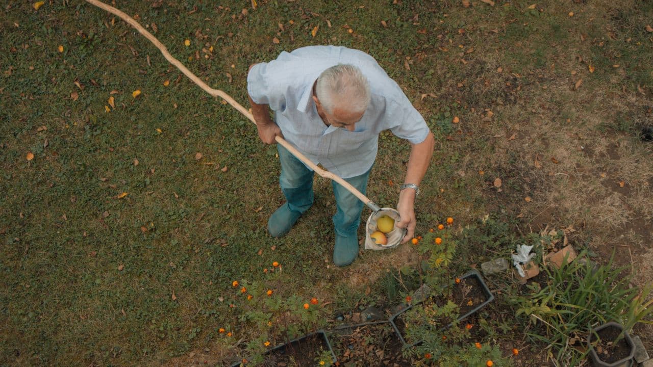 Portage de repas et impôts : le crédit d'impôt s'applique-t-il ?