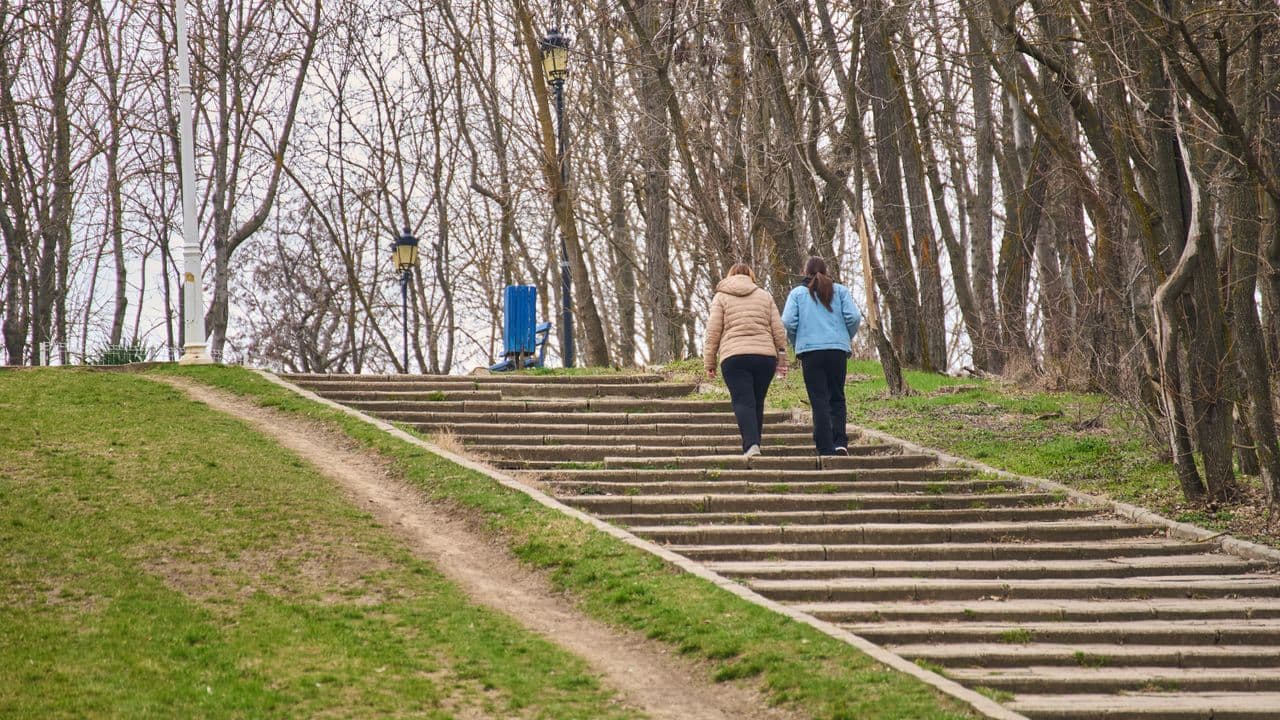 Tarif d'une aide à domicile pour personne âgée : combien ça coûte ?